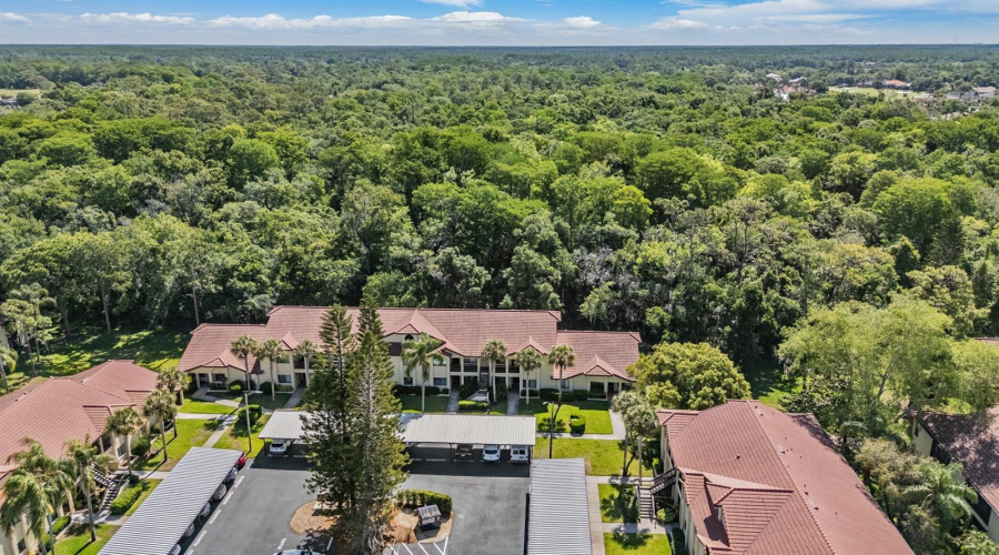 Palm Harbor, Florida 34685, 2 Bedroom Bedrooms, ,2 Bathroombathrooms,Residential,For Sale,Lake,0,Mfrtb8500615