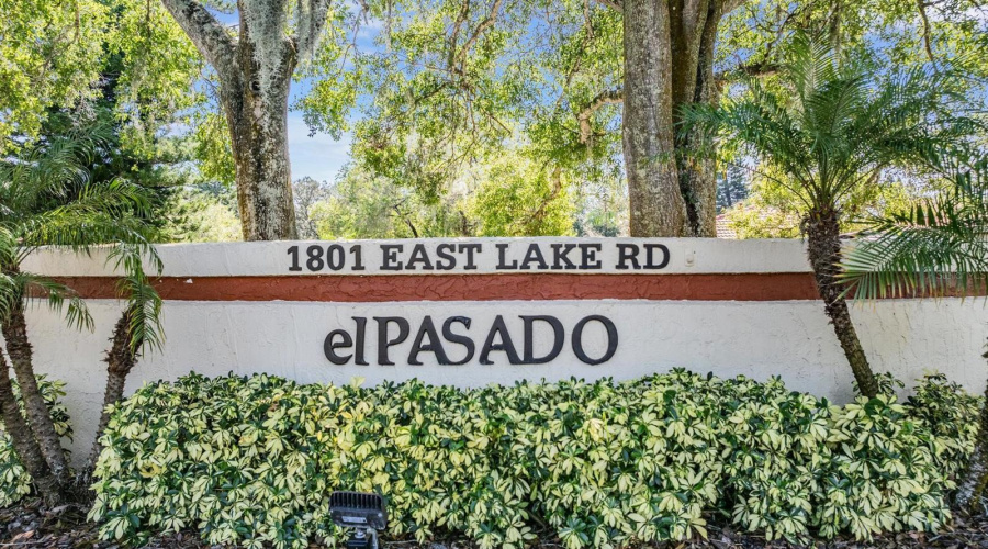 Palm Harbor, Florida 34685, 2 Bedroom Bedrooms, ,2 Bathroombathrooms,Residential,For Sale,Lake,0,Mfrtb8500615