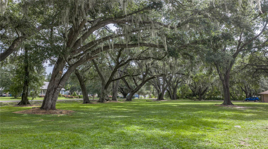 Plant City, Florida 33566, 5 Bedroom Bedrooms, ,3 Bathroombathrooms,Residential,For Sale,Trapnell,0,Mfrtb8541178