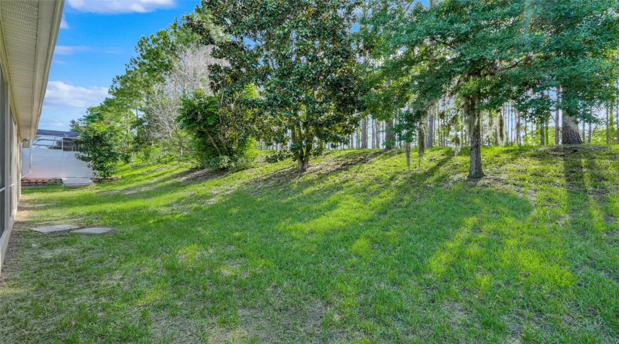 Clermont, Florida 34711, 4 Bedroom Bedrooms, ,3 Bathroombathrooms,Residential,For Sale,Nature Cove,0,Mfrg5115138