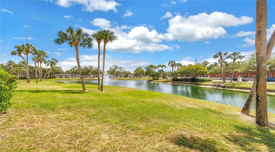 St Petersburg, Florida 33712, 1 Bedroom Bedrooms, ,1 Bathroombathrooms,Residential,For Sale,58Th,0,Mfrtb8500058