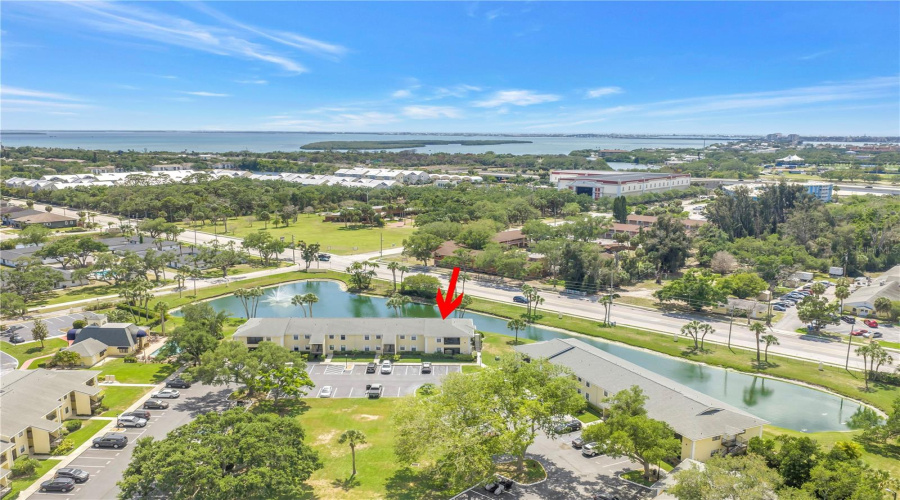 St Petersburg, Florida 33712, 1 Bedroom Bedrooms, ,1 Bathroombathrooms,Residential,For Sale,58Th,0,Mfrtb8500058