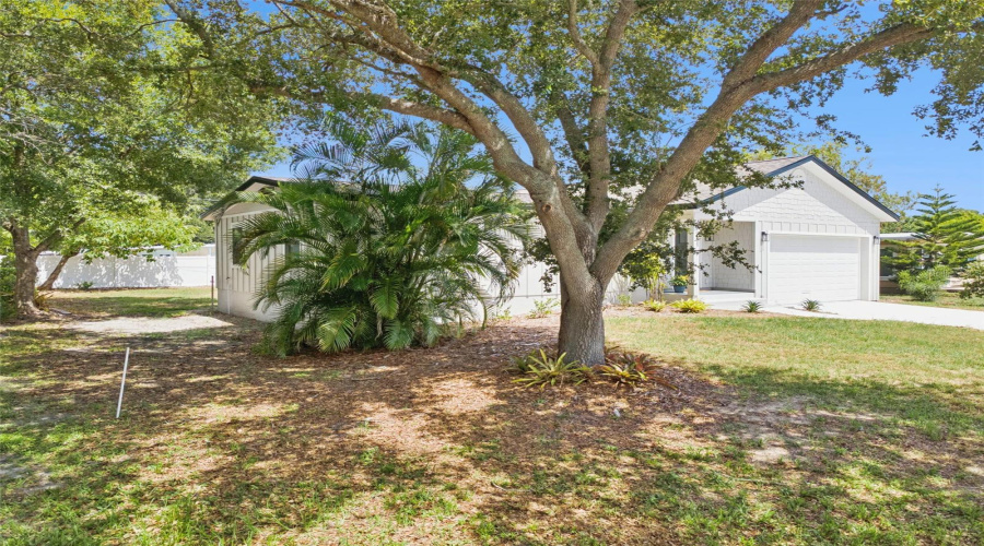 St Petersburg, Florida 33702, 3 Bedroom Bedrooms, ,2 Bathroombathrooms,Residential,For Sale,Orpine,0,Mfrtb8529569