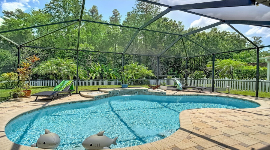 New Port Richey, Florida 34655, 4 Bedroom Bedrooms, ,3 Bathroombathrooms,Residential,For Sale,Solola,0,Mfrtb8539237