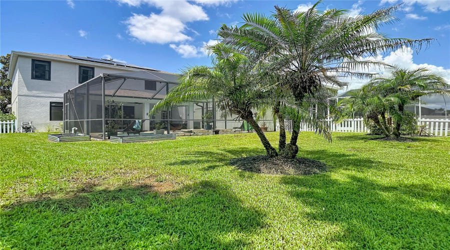 New Port Richey, Florida 34655, 4 Bedroom Bedrooms, ,3 Bathroombathrooms,Residential,For Sale,Solola,0,Mfrtb8539237
