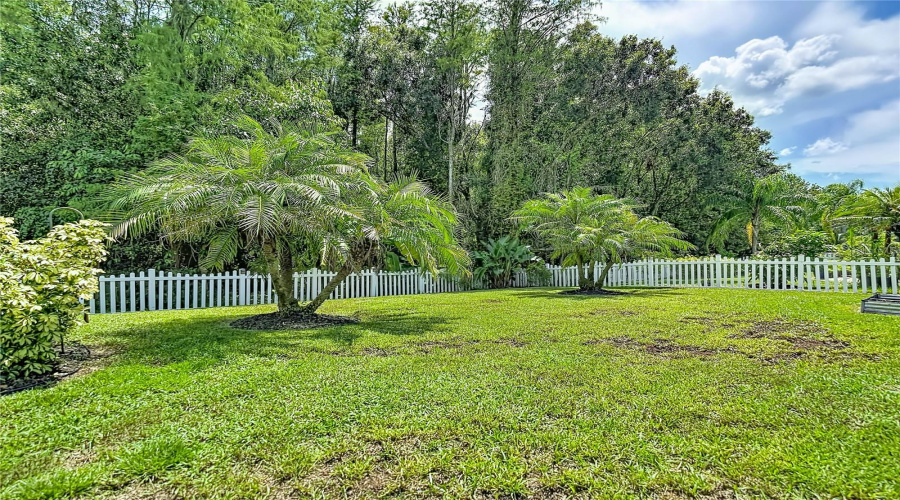 New Port Richey, Florida 34655, 4 Bedroom Bedrooms, ,3 Bathroombathrooms,Residential,For Sale,Solola,0,Mfrtb8539237