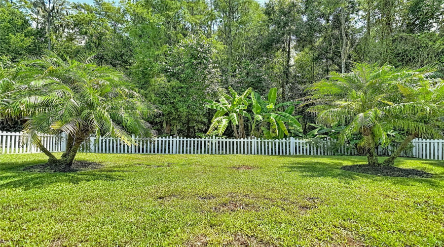 New Port Richey, Florida 34655, 4 Bedroom Bedrooms, ,3 Bathroombathrooms,Residential,For Sale,Solola,0,Mfrtb8539237