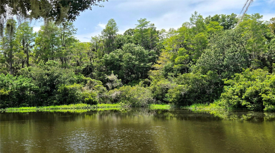 New Port Richey, Florida 34655, 4 Bedroom Bedrooms, ,3 Bathroombathrooms,Residential,For Sale,Solola,0,Mfrtb8539237