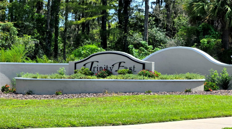 New Port Richey, Florida 34655, 4 Bedroom Bedrooms, ,3 Bathroombathrooms,Residential,For Sale,Solola,0,Mfrtb8539237