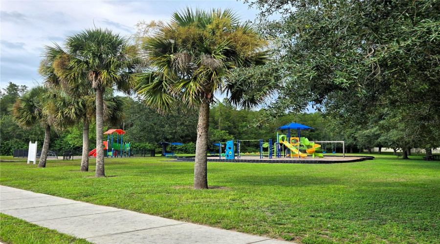 New Port Richey, Florida 34655, 4 Bedroom Bedrooms, ,3 Bathroombathrooms,Residential,For Sale,Solola,0,Mfrtb8539237