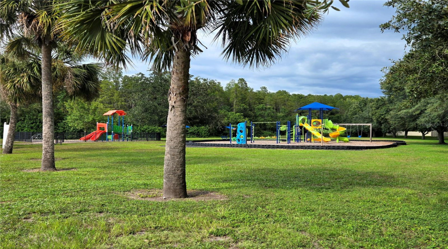 New Port Richey, Florida 34655, 4 Bedroom Bedrooms, ,3 Bathroombathrooms,Residential,For Sale,Solola,0,Mfrtb8539237