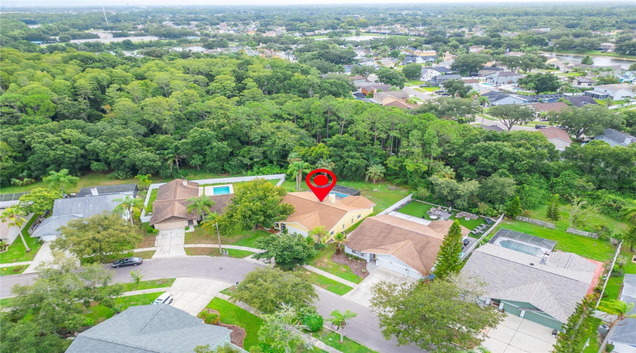 Tampa, Florida 33635, 3 Bedroom Bedrooms, ,2 Bathroombathrooms,Residential,For Sale,Steppingstone,0,Mfrtb8534804