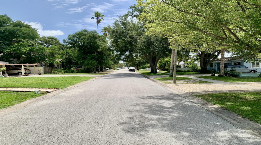 Beautiful Disston Heights Street
