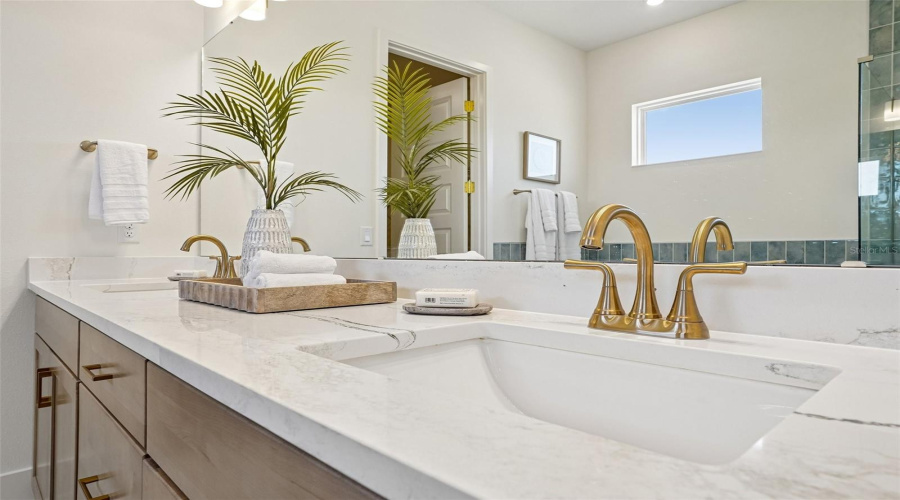 Model Home