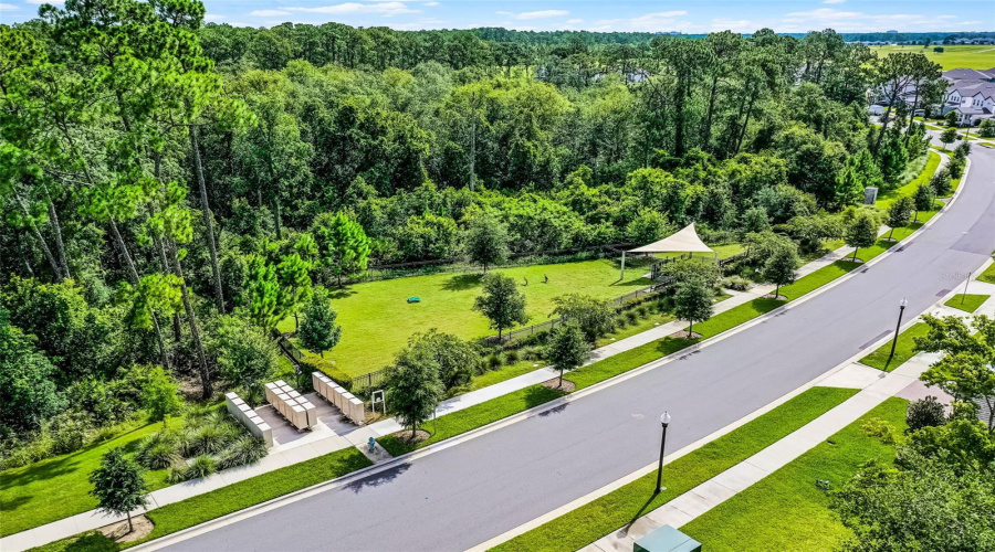 Winter Garden, Florida 34787, 5 Bedroom Bedrooms, ,4 Bathroombathrooms,Residential,For Sale,Honeybell Tangelo,0,Mfro6402286