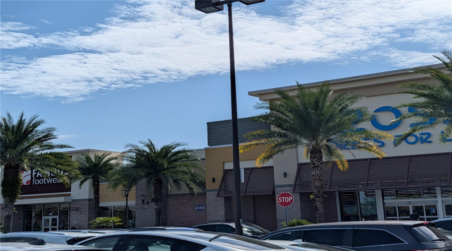 Shopping Area By Courtney Landing