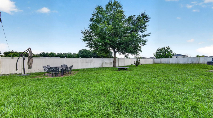 Huge Backyard
