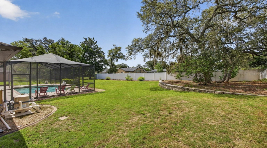 Backyard