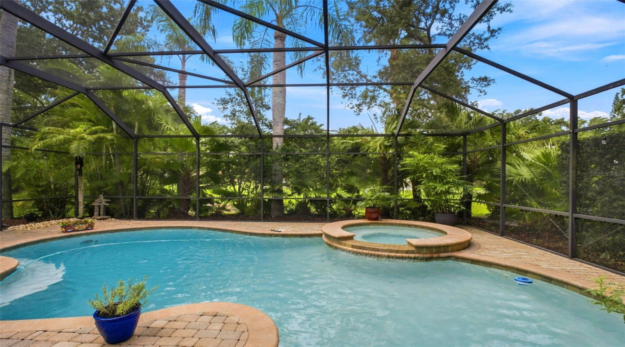 Pool And Spa