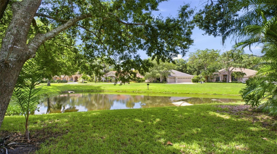 Retention Pond View From Pool Lanai