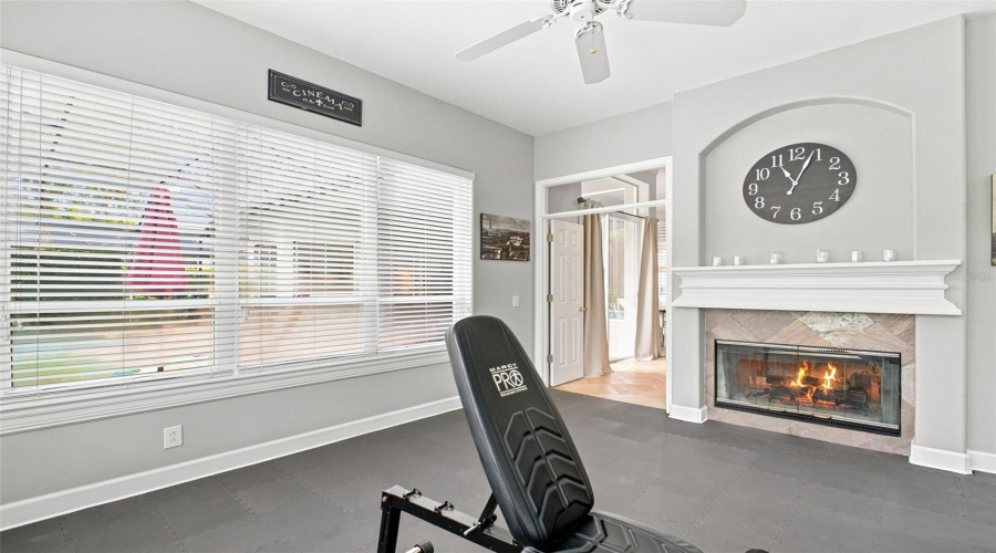 Bonus Room With Fireplace On