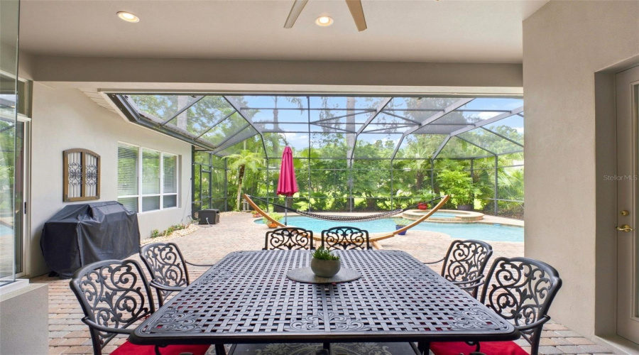 Patio / Lanai