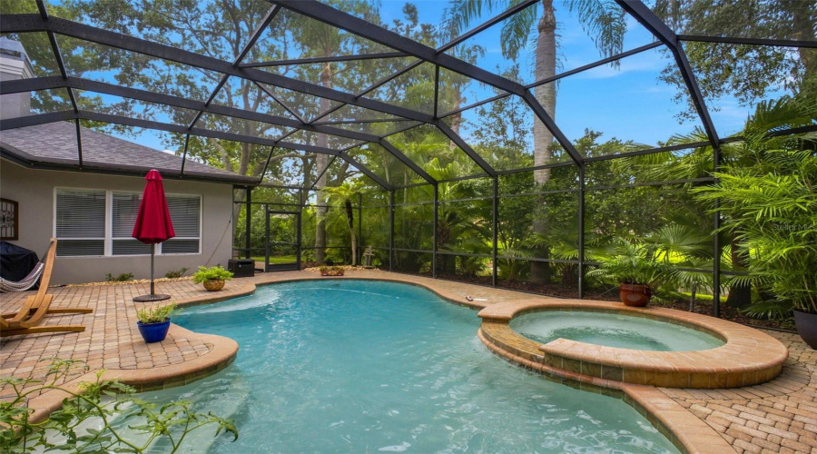Pool And Spa