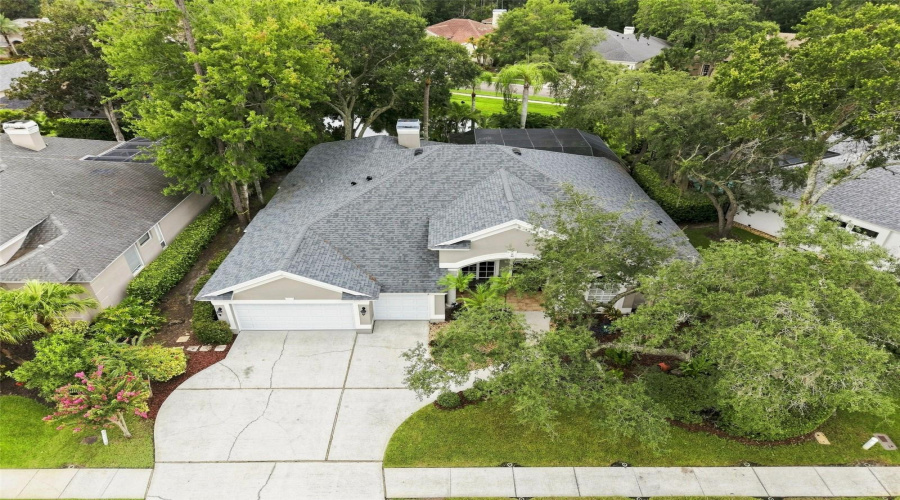 Drone View