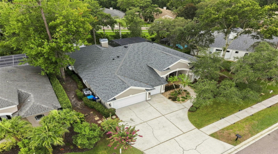 Drone View