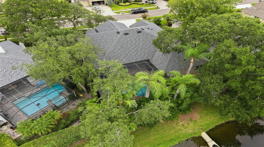 Bird'S Eye View Back Of Home