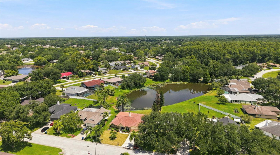 Land O Lakes, Florida 34639, 4 Bedroom Bedrooms, ,2 Bathroombathrooms,Residential,For Sale,Pine Lake,0,Mfrtb8532404