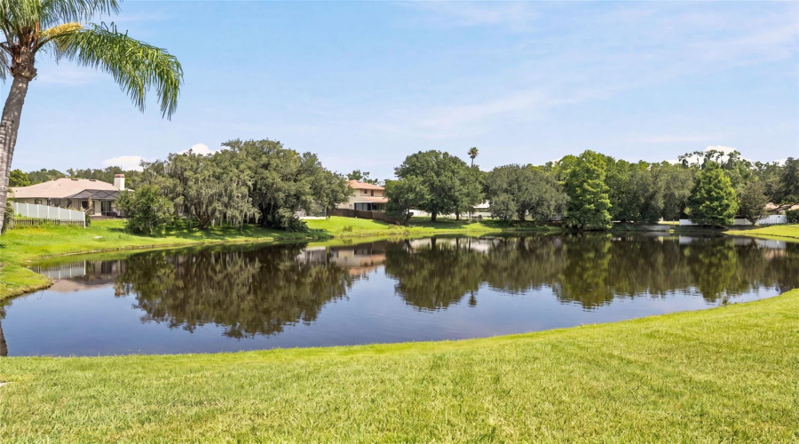 Land O Lakes, Florida 34639, 4 Bedroom Bedrooms, ,2 Bathroombathrooms,Residential,For Sale,Pine Lake,0,Mfrtb8532404