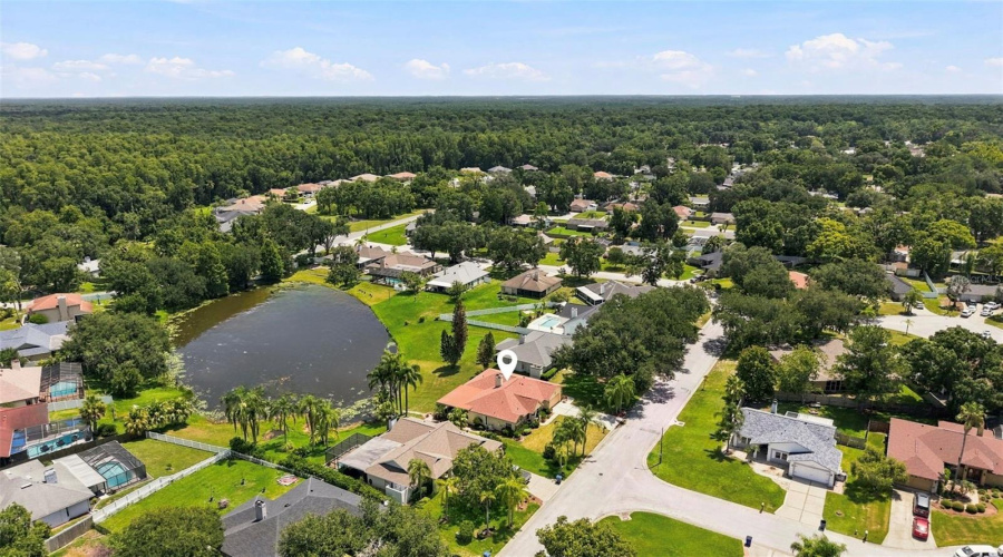 Land O Lakes, Florida 34639, 4 Bedroom Bedrooms, ,2 Bathroombathrooms,Residential,For Sale,Pine Lake,0,Mfrtb8532404