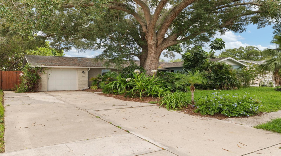 Tampa, Florida 33615, 3 Bedroom Bedrooms, ,2 Bathroombathrooms,Residential,For Sale,Flagstone,0,Mfrtb8536891