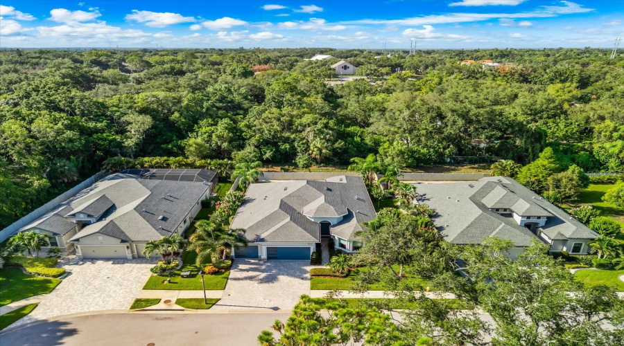 Palm Harbor, Florida 34683, 4 Bedroom Bedrooms, ,4 Bathroombathrooms,Residential,For Sale,Bee Branch,0,Mfrtb8526593