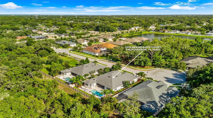Palm Harbor, Florida 34683, 4 Bedroom Bedrooms, ,4 Bathroombathrooms,Residential,For Sale,Bee Branch,0,Mfrtb8526593