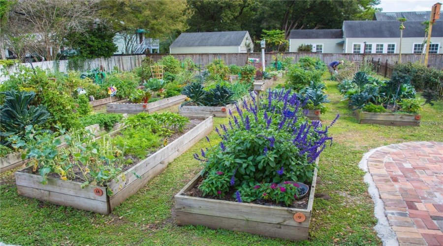 Lake Eola Heights Community Garden