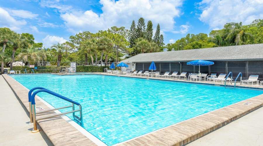 Community Pool