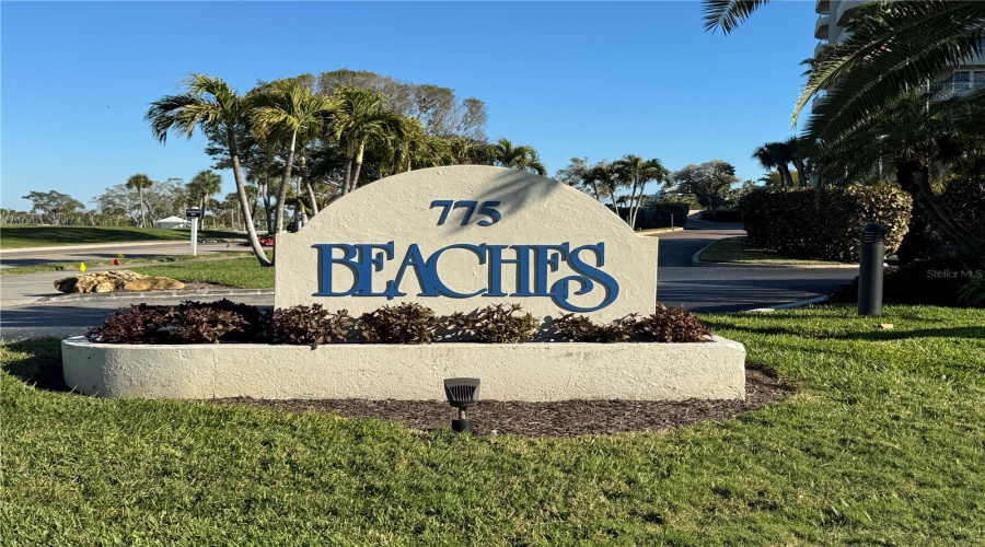 The Beaches