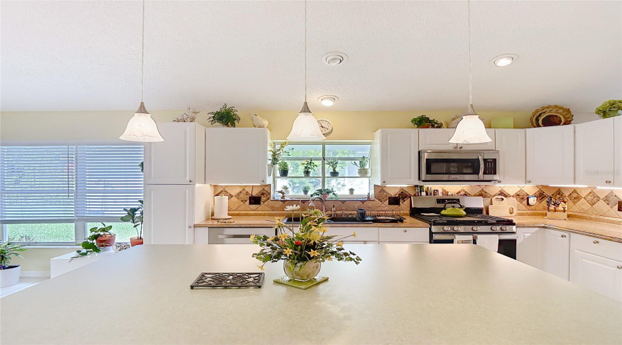 New Port Richey, Florida 34655, 3 Bedroom Bedrooms, ,2 Bathroombathrooms,Residential,For Sale,Craighurst,0,Mfrtb8526609