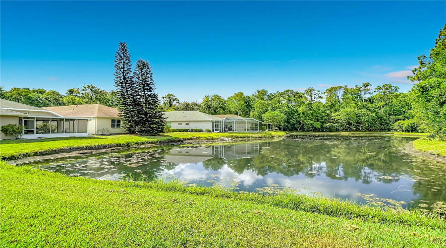 New Port Richey, Florida 34655, 3 Bedroom Bedrooms, ,2 Bathroombathrooms,Residential,For Sale,Craighurst,0,Mfrtb8526609