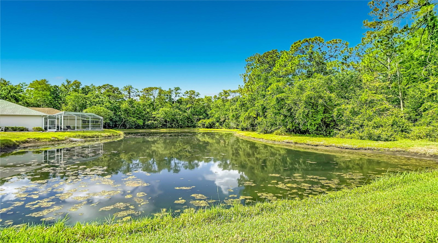 New Port Richey, Florida 34655, 3 Bedroom Bedrooms, ,2 Bathroombathrooms,Residential,For Sale,Craighurst,0,Mfrtb8526609