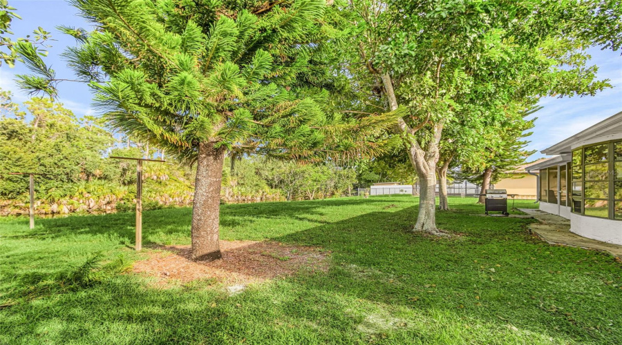 Yard