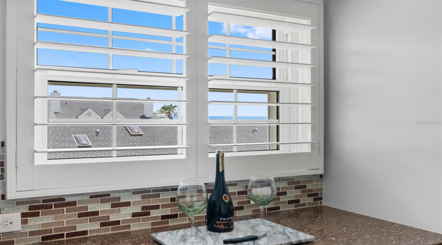 Kitchen South View Window