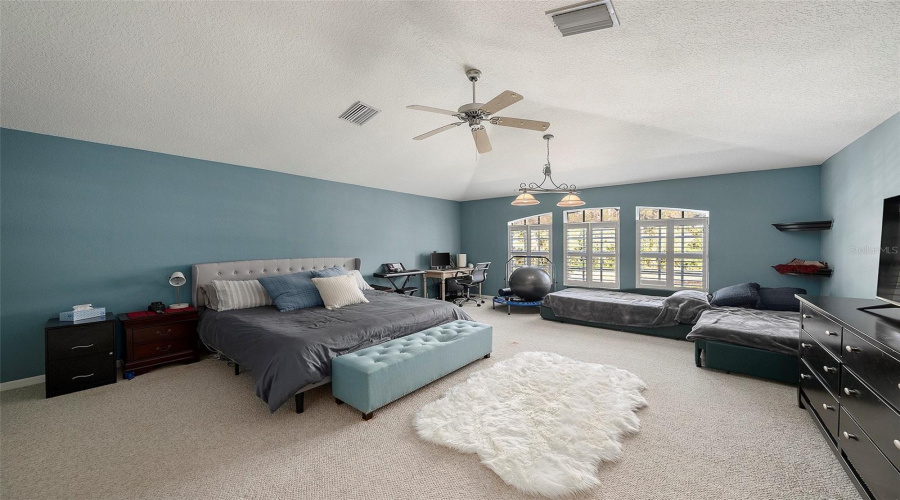 Bonus Bedroom