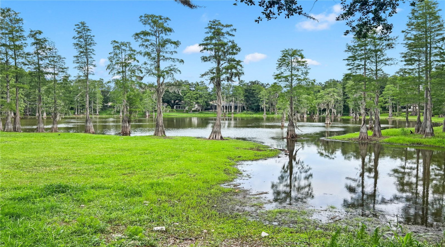 Tampa, Florida 33618, 3 Bedroom Bedrooms, ,2 Bathroombathrooms,Residential,For Sale,Laurel Dale,0,Mfrtb8515914
