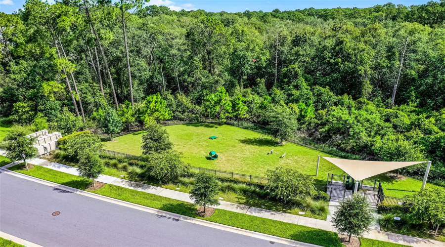 Winter Garden, Florida 34787, 4 Bedroom Bedrooms, ,3 Bathroombathrooms,Residential,For Sale,Honeybell Tangelo,0,Mfro6414274