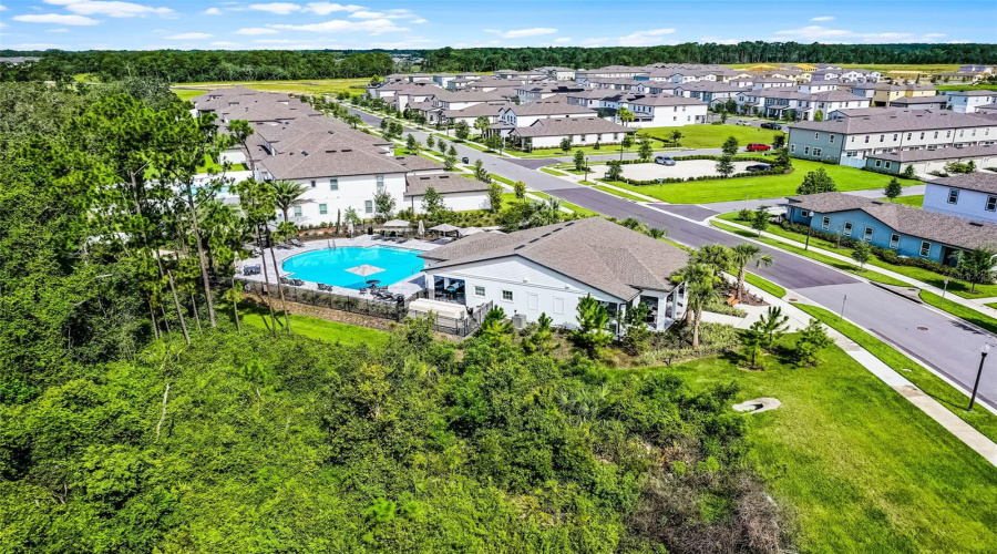 Winter Garden, Florida 34787, 4 Bedroom Bedrooms, ,3 Bathroombathrooms,Residential,For Sale,Honeybell Tangelo,0,Mfro6414274