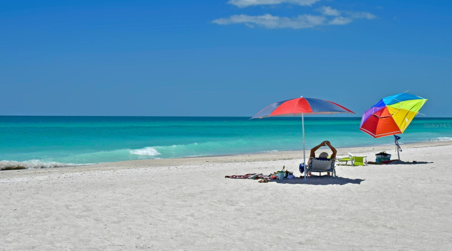 Sarasota, Florida 34236, 1 Bedroom Bedrooms, ,1 Bathroombathrooms,Residential,For Sale,Roosevelt,0,Mfra4651143