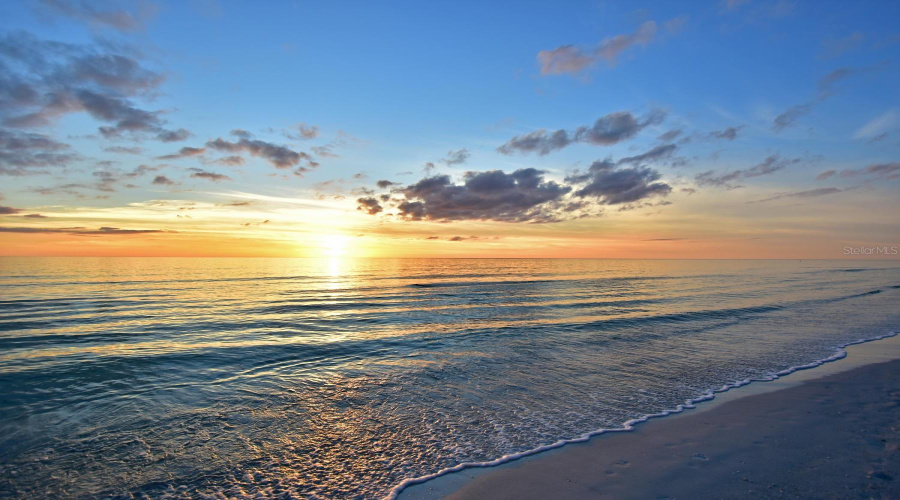 Sarasota, Florida 34236, 1 Bedroom Bedrooms, ,1 Bathroombathrooms,Residential,For Sale,Roosevelt,0,Mfra4651143
